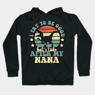 I Try To Be Good But I Take After My Nana Dinosaur Gifts Hoodie